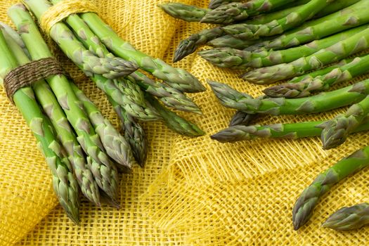Bunches of asparagus tied with twine on a burlap background. Asparagus officinalis.