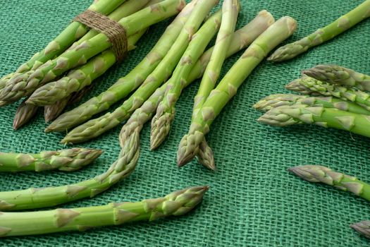 Raw garden asparagus stems. Fresh green spring vegetables on green background. (Asparagus officinalis).