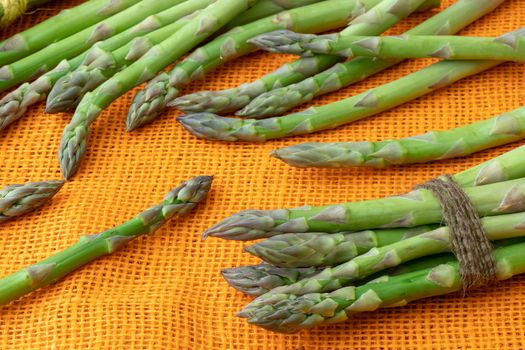 Fresh asparagus officinalis isolated on orange background. Raw garden asparagus stems.
