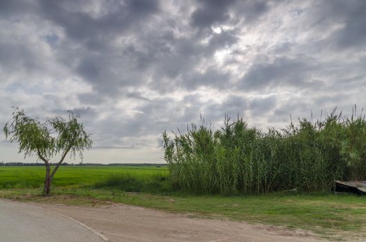 The Port of Catarroja is one of the main accesses to the Albufera. It has been a point of connection and union through navigation with other locations, at the time when the rest of the communications were insufficient.