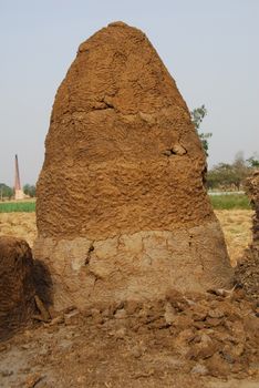 cow dung cake dried to use as fuel in india and other villages in asia