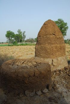 cow dung cake dried to use as fuel in india and other villages in asia