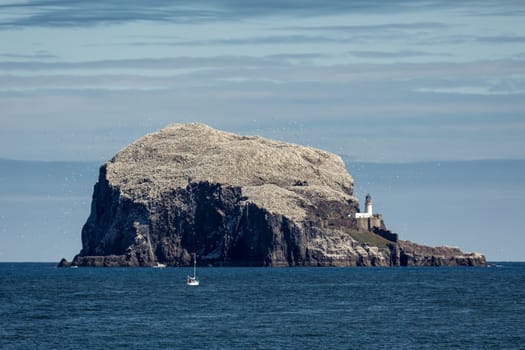 View of Bass Rock