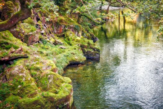 View along the Glaslyn River in autumn