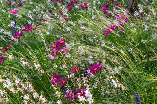 East Grinstead in Bloom