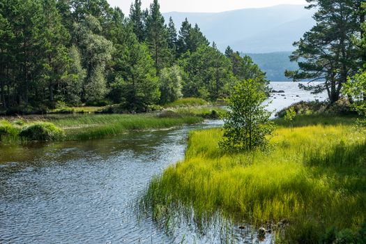 Loch Morlich near Aviemore