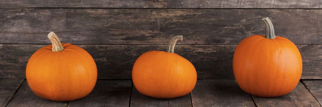 Three orange pumpkins on dark wooden background, Halloween concept