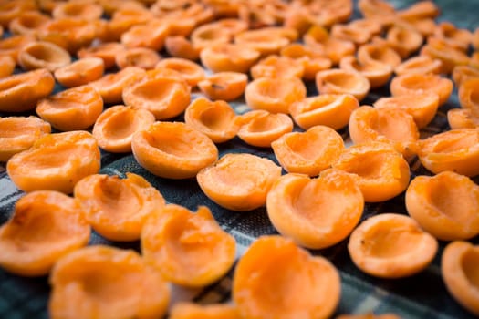 Fresh summer harvest of juicy mellow orange apricot fruits are drying on sun preparing for conservation