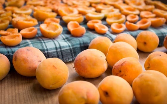 Summer harvest of fresh juicy mellow and sun-dried apricots prepared for conservation