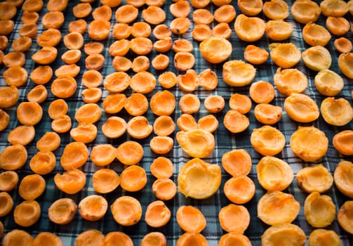 Fresh summer harvest of juicy mellow orange apricot fruits are drying on sun preparing for conservation