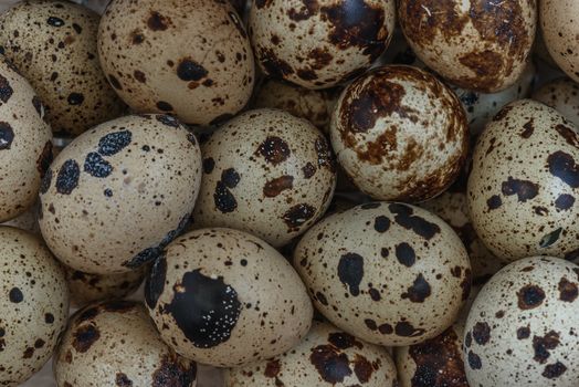 scattering of small quail eggs for cooking