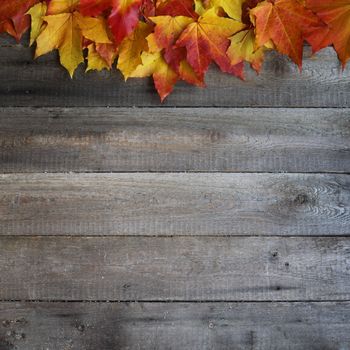 Autumn maple leaves frame over wooden background with copy space