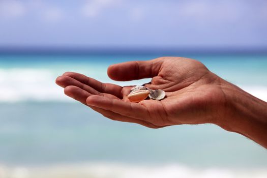 Bowls in a man's hand isolated on background of the sea. Barbados. St. Lawrence Gap. Dover Beach