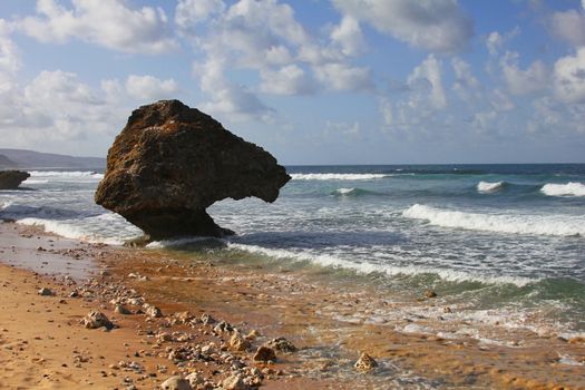 Coral reef boulders on the beach at Bathsheba, Barbados