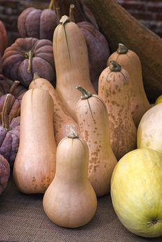 Butternut squash with leaves and basket