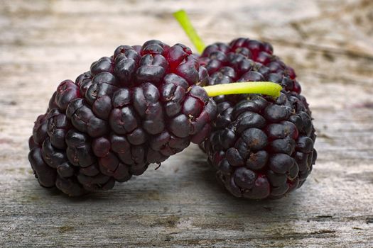 Black mulberry  (Morus nigra), two berries on the wood table