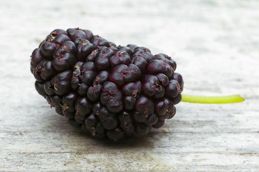 Black mulberry  (Morus nigra), pile of berries