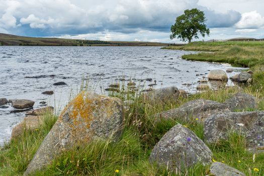 Countryside at Lochindorb