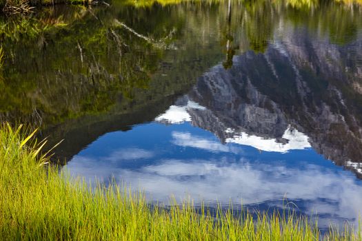 Peter's Pool Reflection