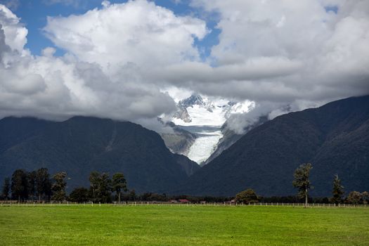 Fox Glacier