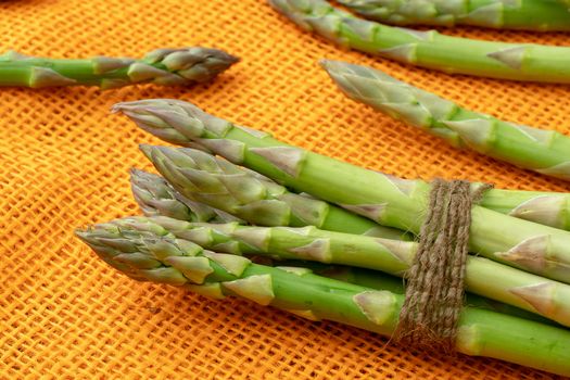 Raw garden asparagus stems. Fresh green spring vegetables on orange background. (Asparagus officinalis).