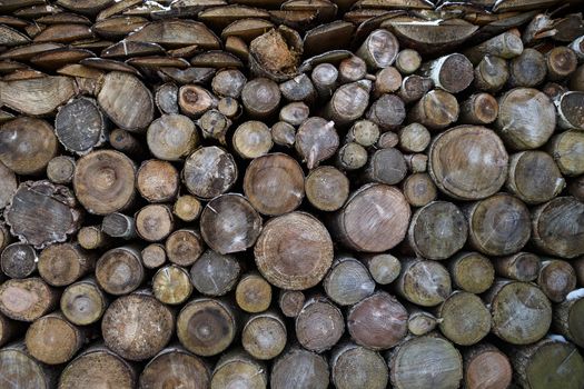 Spruce wood in the background. Firewood stack.