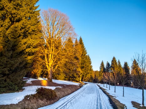 Late winter cross country skiing tracks. Rest of snow on sunny evening near Kristianov village, Jizera Mountains, Czech Republic.