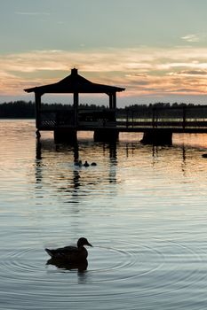 Gazebo in Lake with Mallard Ducks in Water at Sunset.