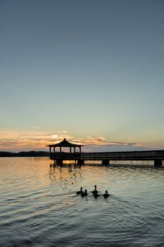 Gazebo in Lake with Mallard Ducks in Water at Sunset.