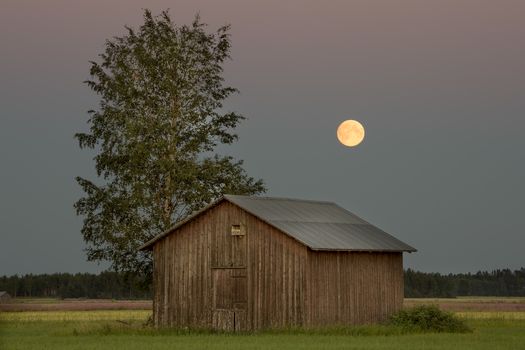 Barn in Farmfield by Tree with a Full Moon.