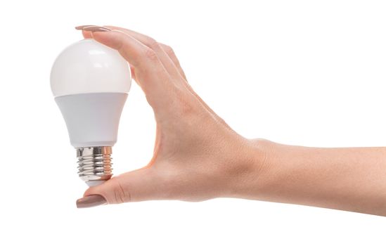 light bulb in a female hand on white background isolated