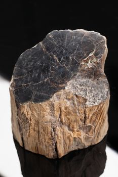 Piece of stone on a studio background