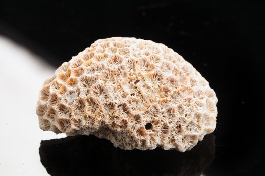 Piece of stone on a studio background