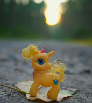 Yellow toy unicorn standing on leaf at forest road