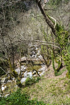 Wooden bridge on the path of Mavri Spilia (literally Black Cave), close to Proussos village, Greece