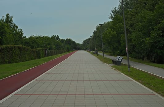 Empty boardwalk with tracks for walking, jogging and bicycles