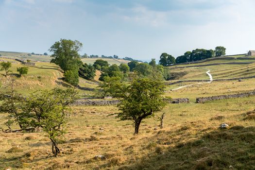 View of the countryside around Malham Cove in the Yorkshire Dales National Park