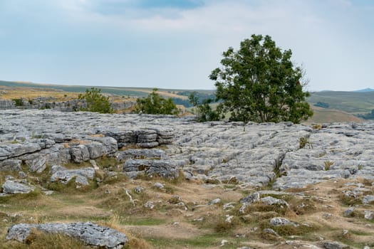 View of the Limestone Pavement above Malham Cove in the Yorkshire Dales National Park