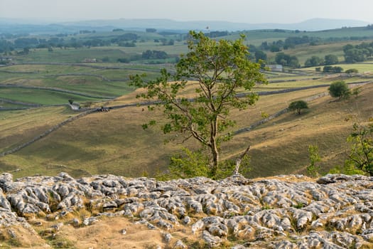 View of the Limestone Pavement above Malham Cove in the Yorkshire Dales National Park