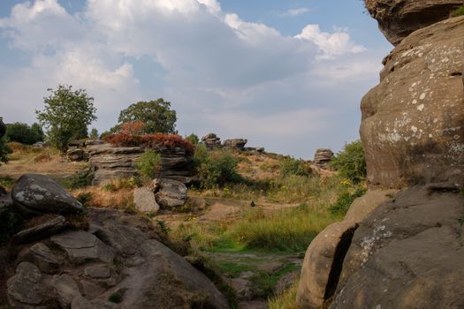 Scenic view of Brimham Rocks in Yorkshire Dales National Park