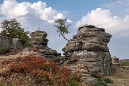 Scenic view of Brimham Rocks in Yorkshire Dales National Park