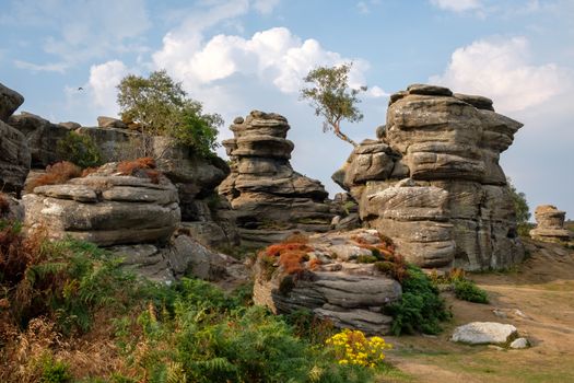 Scenic view of Brimham Rocks in Yorkshire Dales National Park