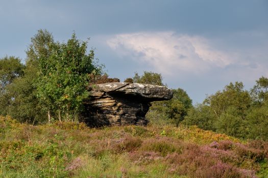 Scenic view of Brimham Rocks in Yorkshire Dales National Park