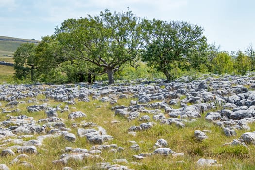 View of the Limestone Pavement near the village of Conistone in the Yorkshire Dales National Park