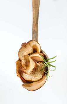 spoon of dried mushrooms on white background