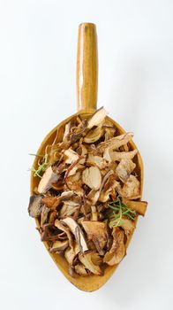 scoop of dried mushrooms on white background