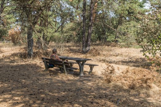 woman relax sitting on a bench in the dry and dead forest during the hottest summer in Holland ever, this is ont he nature park the veluwe