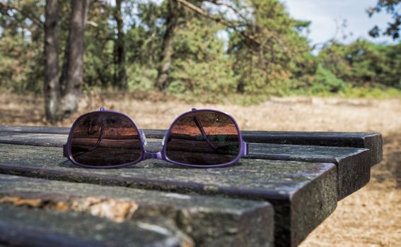 sunglasses on wooden table during hot summer with heat waves in Holland so the forest is dead and dry