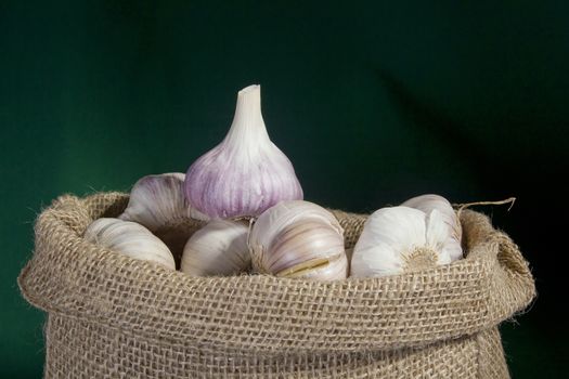 Garlic in a bag on a green background