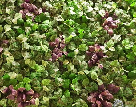 Green leaf wall. Seamless endless pattern.         